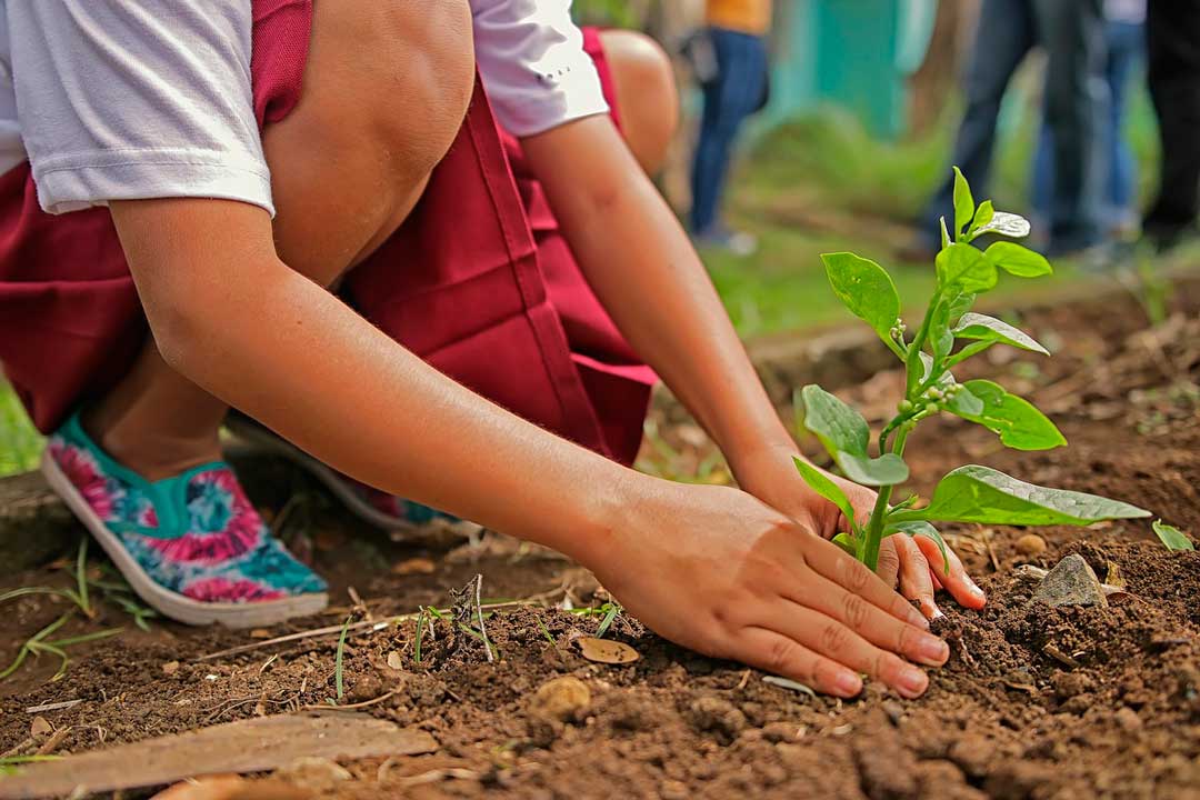 Consejos Para Cuidar La Naturaleza Y Medio Ambiente